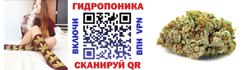 Продажа наркотиков Курган АМФ  Меф  A-PVP  Гашиш  Конопля 