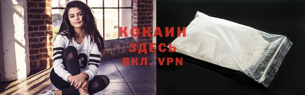 дживик Ладушкин
