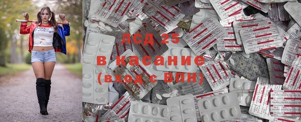 дживик Ладушкин