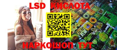 стафф Гатчина