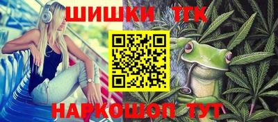 стафф Гатчина