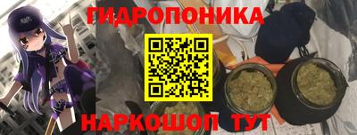 не бодяженный Гай