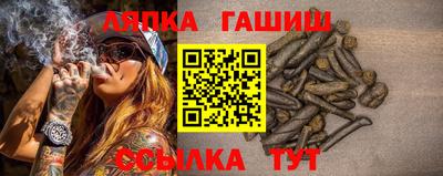 прущие грибы Гагарин