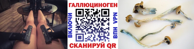 MEGA зеркало  Курган  Галлюциногенные грибы GOLDEN TEACHER  где купить наркотик 
