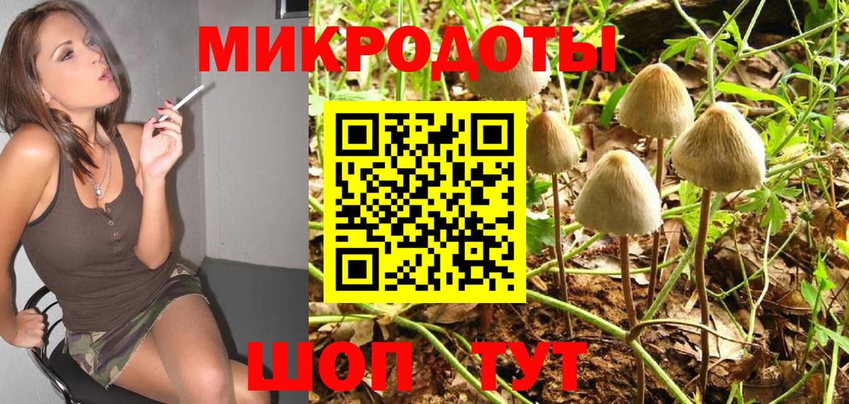 Галлюциногенные грибы Psilocybine cubensis Курган